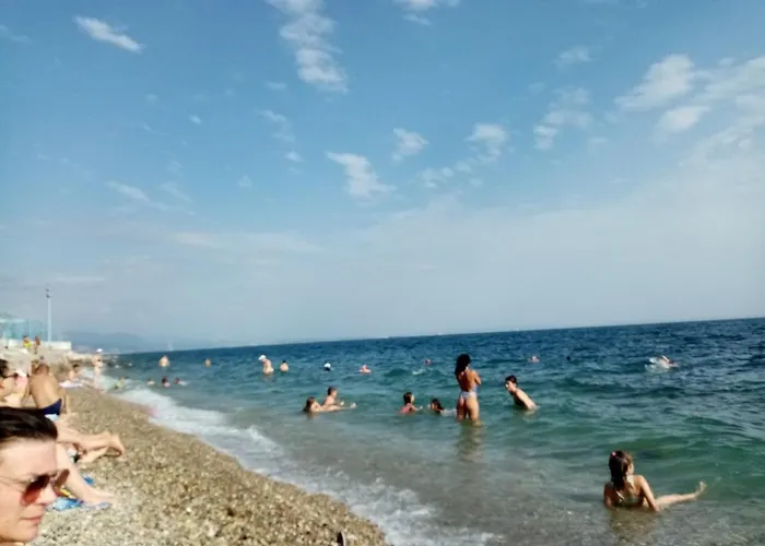 Lilly アパート リエカ